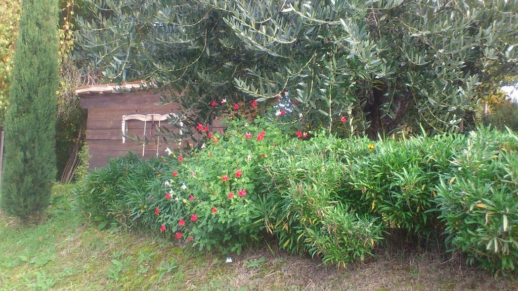 Poggio Dei Prugnoli Acomodação com café da manhã Tavoleto Exterior foto
