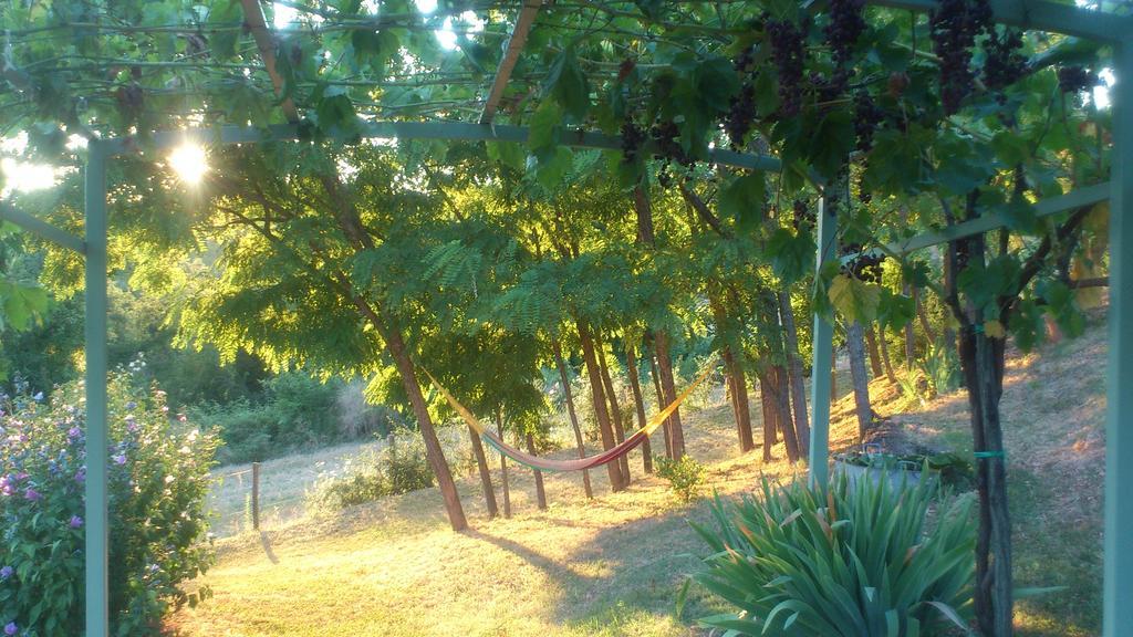 Poggio Dei Prugnoli Acomodação com café da manhã Tavoleto Exterior foto