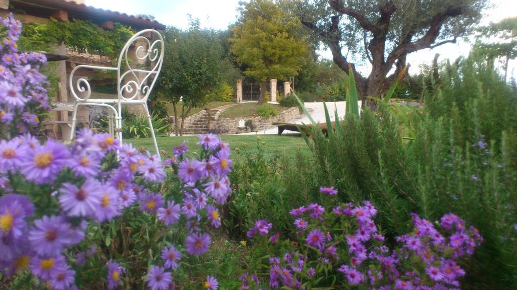 Poggio Dei Prugnoli Acomodação com café da manhã Tavoleto Exterior foto
