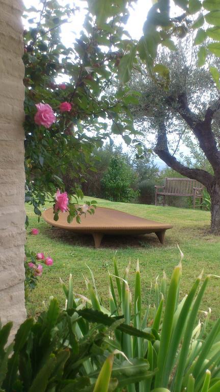 Poggio Dei Prugnoli Acomodação com café da manhã Tavoleto Exterior foto