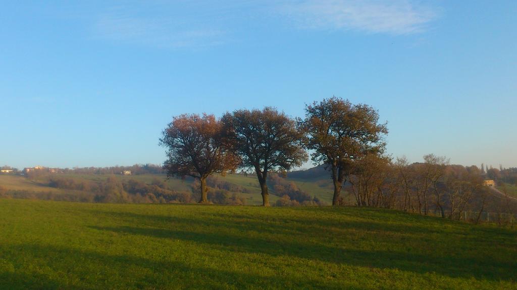 Poggio Dei Prugnoli Acomodação com café da manhã Tavoleto Exterior foto