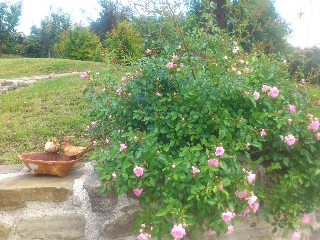 Poggio Dei Prugnoli Acomodação com café da manhã Tavoleto Exterior foto