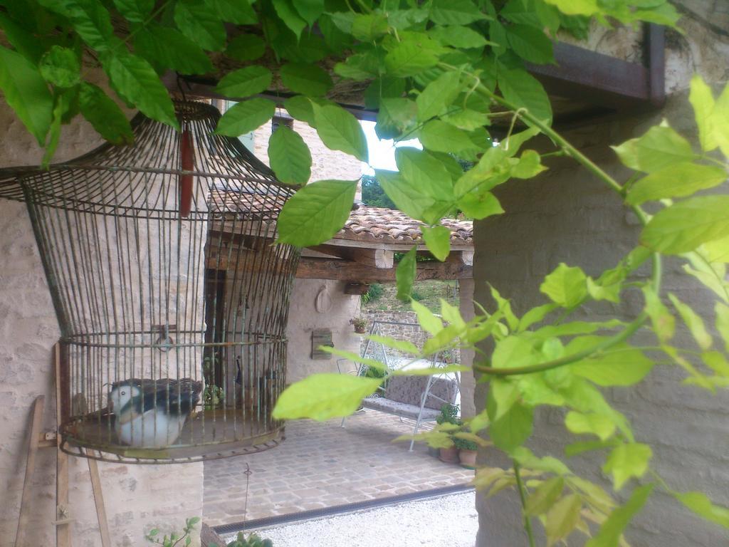 Poggio Dei Prugnoli Acomodação com café da manhã Tavoleto Exterior foto