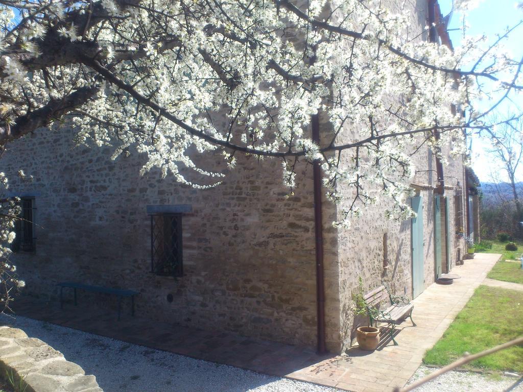 Poggio Dei Prugnoli Acomodação com café da manhã Tavoleto Exterior foto
