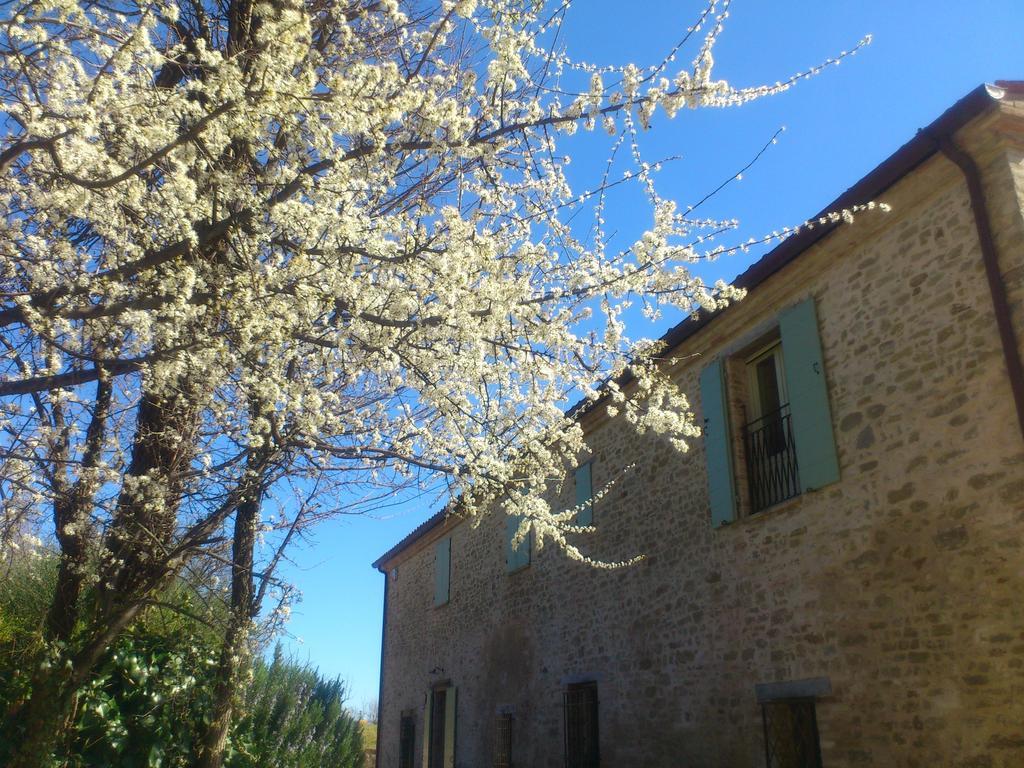 Poggio Dei Prugnoli Acomodação com café da manhã Tavoleto Exterior foto