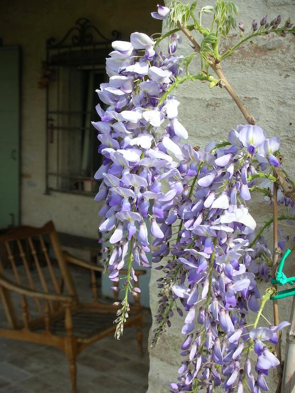 Poggio Dei Prugnoli Acomodação com café da manhã Tavoleto Exterior foto